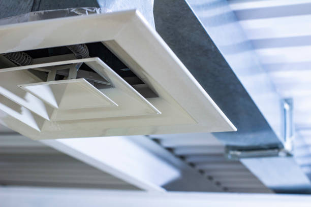 Best Air Duct Mold Removal  in Ogden, UT